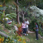 he experience at Jamaica's Best Art Gallery and Botanical Garden